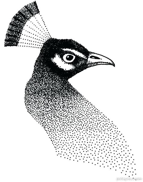 Drawing Dot.